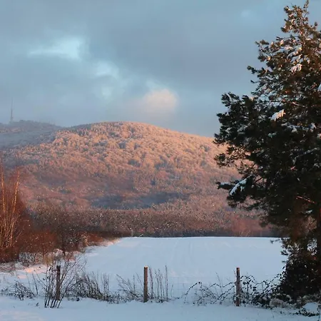 W Bialej - Blawatek * Marcinowice