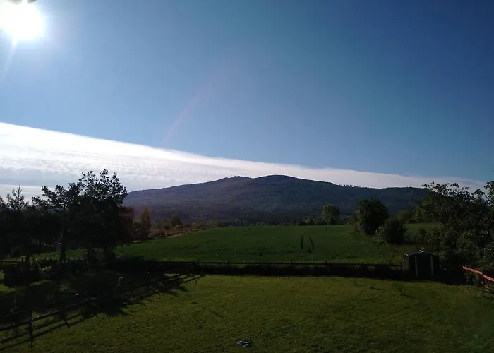 W Bialej - Blawatek *