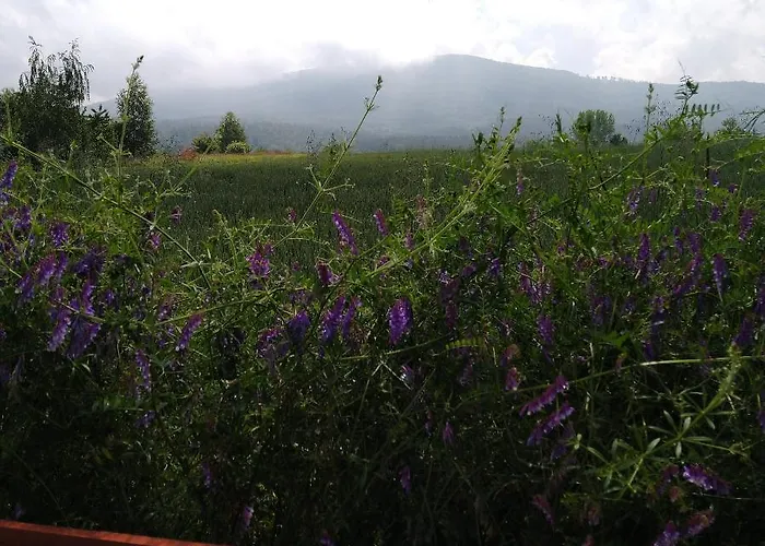 W Bialej - Blawatek *